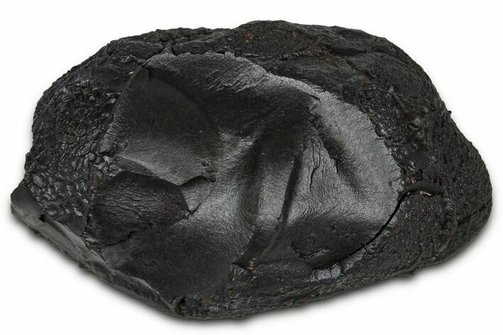 Dragon Scale Stone (Iron, Manganese, Siderite Nodule) #350201
